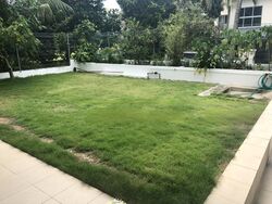 Ming Park (D20), Semi-Detached #484129661